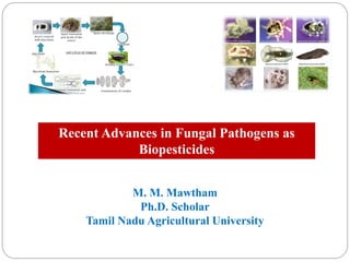 Recent Advances in Fungal Pathogens as
Biopesticides
M. M. Mawtham
Ph.D. Scholar
Tamil Nadu Agricultural University
 