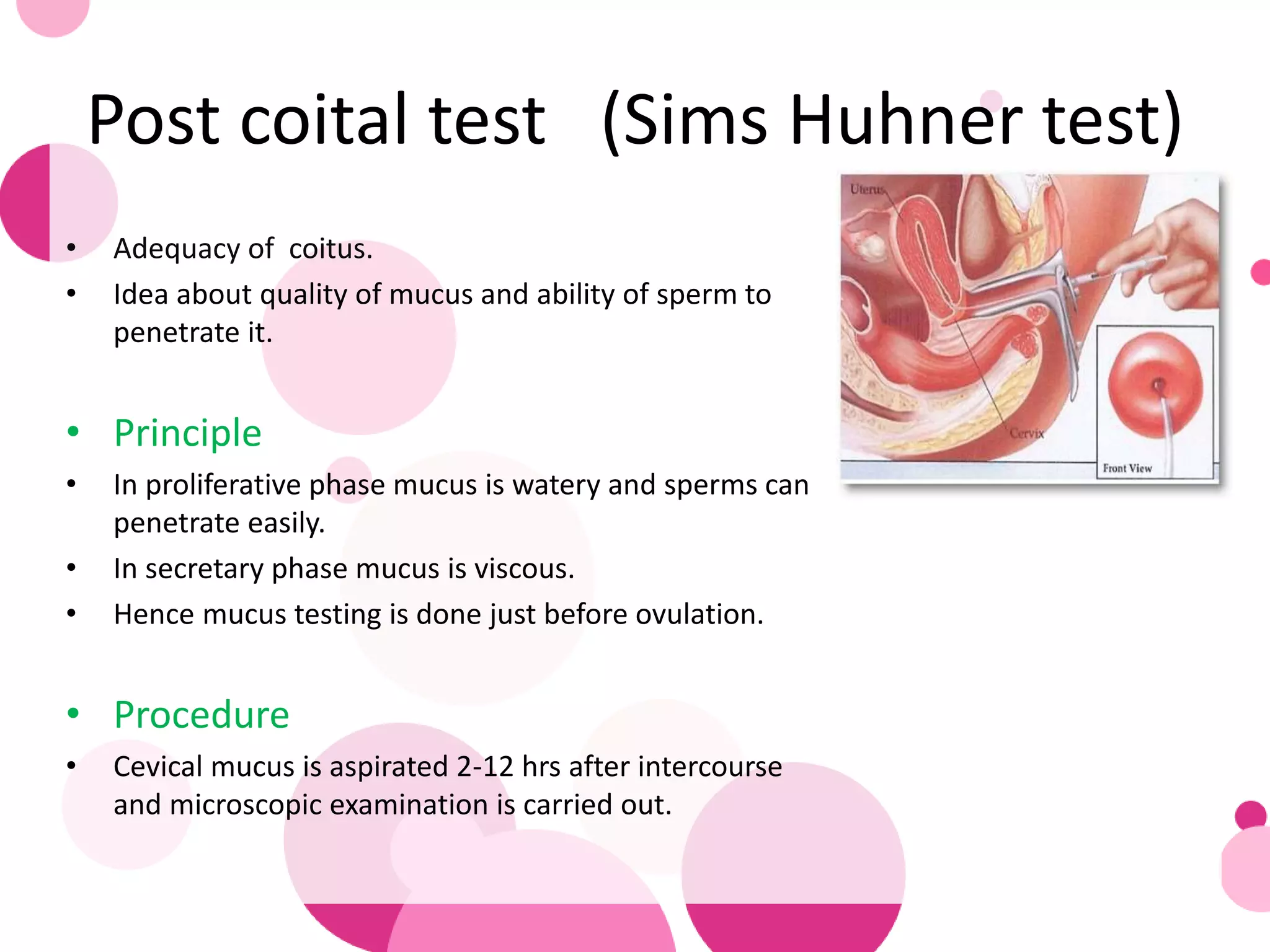 Trans katta xorozlarning porno fotosuratlari