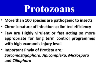 Protozoan Insecticide Recent advances in microbial pesticide | PPT