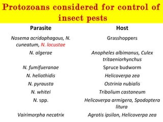 Protozoan Insecticide Recent advances in microbial pesticide | PPT