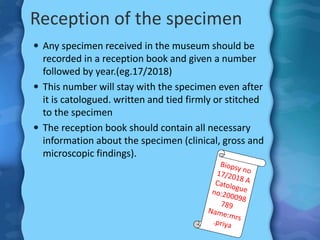 Specimen Reception Show Examples Recent advances in museum techniques | PPTX