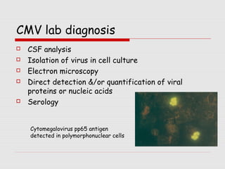 Recent advances in neurotropic viruses | PPT