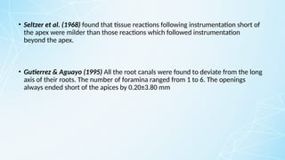 • Seltzer et al. (1968) found that tissue reactions following instrumentation short of
the apex were milder than those reactions which followed instrumentation
beyond the apex.
• Gutierrez & Aguayo (1995) All the root canals were found to deviate from the long
axis of their roots. The number of foramina ranged from 1 to 6. The openings
always ended short of the apices by 0.20±3.80 mm
 