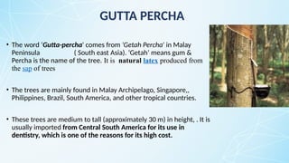 GUTTA PERCHA
• The word ‘Gutta-percha' comes from 'Getah Percha' in Malay
Peninsula ( South east Asia). ‘Getah’ means gum &
Percha is the name of the tree. It is natural latex produced from
the sap of trees
• The trees are mainly found in Malay Archipelago, Singapore,,
Philippines, Brazil, South America, and other tropical countries.
• These trees are medium to tall (approximately 30 m) in height, . It is
usually imported from Central South America for its use in
dentistry, which is one of the reasons for its high cost.
 