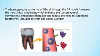 • The homogeneous scattering of NDs all through the GP matrix increases
the mechanical properties, which enhance the success rate of
conventional endodontic therapies and reduce the need for additional
treatments, including retreats and apical surgeries
 