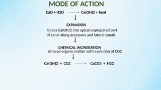 MODE OF ACTION
CaO + H2O Ca(OH)2 + heat
EXPANSION
Forces Ca(OH)2 into apical unprepared part
of canal along accessory and lateral canals
CHEMICAL INCINERATION
of dead organic matter with evolution of CO2
Ca(OH)2 + CO2 CaCO3 + H2O
 