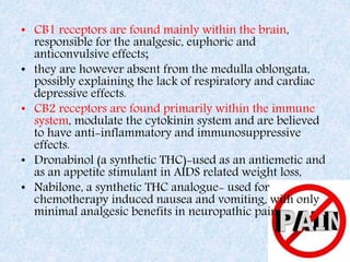 • CB1 receptors are found mainly within the brain,
responsible for the analgesic, euphoric and
anticonvulsive effects;
• they are however absent from the medulla oblongata,
possibly explaining the lack of respiratory and cardiac
depressive effects.
• CB2 receptors are found primarily within the immune
system, modulate the cytokinin system and are believed
to have anti-inflammatory and immunosuppressive
effects.
• Dronabinol (a synthetic THC)-used as an antiemetic and
as an appetite stimulant in AIDS related weight loss,
• Nabilone, a synthetic THC analogue- used for
chemotherapy induced nausea and vomiting, with only
minimal analgesic benefits in neuropathic pain.
 