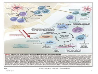 Recent advances in rheumatoid arthritis | PPTX
