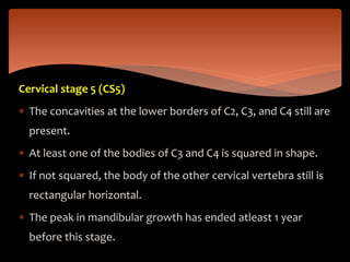Cervical stage 5 (CS5)
 The concavities at the lower borders of C2, C3, and C4 still are
present.
 At least one of the bodies of C3 and C4 is squared in shape.
 If not squared, the body of the other cervical vertebra still is
rectangular horizontal.
 The peak in mandibular growth has ended atleast 1 year
before this stage.
 