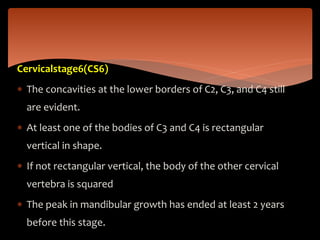 Cervicalstage6(CS6)
 The concavities at the lower borders of C2, C3, and C4 still
are evident.
 At least one of the bodies of C3 and C4 is rectangular
vertical in shape.
 If not rectangular vertical, the body of the other cervical
vertebra is squared
 The peak in mandibular growth has ended at least 2 years
before this stage.
 