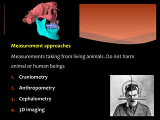 Measurement approaches
Measurements taking from living animals. Do not harm
animal or human beings
1. Craniometry
2. Anthropometry
3. Cephalometry
4. 3D imaging
 