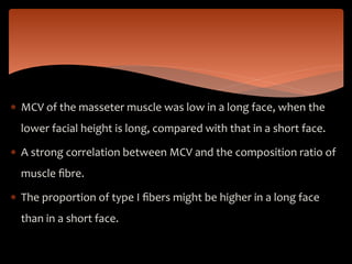  MCV of the masseter muscle was low in a long face, when the
lower facial height is long, compared with that in a short face.
 A strong correlation between MCV and the composition ratio of
muscle ﬁbre.
 The proportion of type I ﬁbers might be higher in a long face
than in a short face.
 