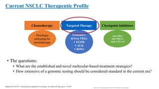 Lung Cancer Targeted Therapy