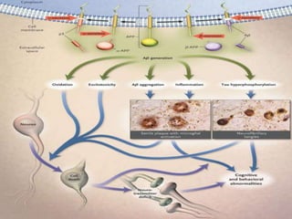 Recent advances in the treatment of alzheimer's disease | PPTX
