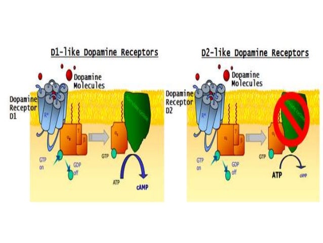 pdf multifunctionality of polymer composites challenges and new solutions