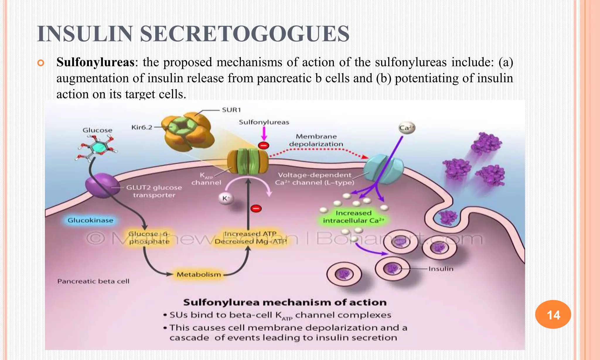 RECENT ADVANCES IN TREATMENT OF DIABETES MELLITUS | PPTX