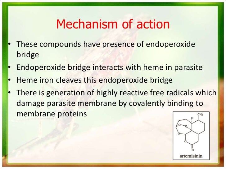 Mechanism of action• These compounds have presence of endoperoxide  bridge• Endoperoxide bridge interacts with heme in par...