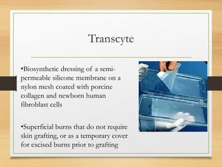 Transcyte
•Biosynthetic dressing of a semi-
permeable silicone membrane on a
nylon mesh coated with porcine
collagen and newborn human
fibroblast cells
•Superficial burns that do not require
skin grafting, or as a temporary cover
for excised burns prior to grafting
 