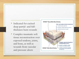 • Indicated for excised
deep partial- and full-
thickness burn wounds
• Complex traumatic soft
tissue reconstruction over
exposed tendons, joints,
and bone, as well as
wounds from vascular
and pressure ulcers
 
