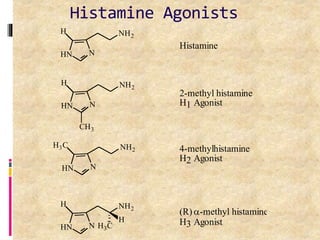 14
HN N
NH2
H
HN N
NH2
H
CH3
HN N
NH2
H3C
HN N
NH2
H
H
H3C
(R)-methyl histamine
H3 Agonist
4-methylhistamine
H2 Agonist
2-methyl histamine
H1 Agonist
Histamine
Histamine Agonists
 