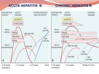 Recent advances in chronic hepatitis | PPTX