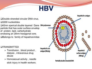 Recent advances in chronic hepatitis | PPTX