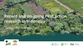 Led by ICRAF-Indonesia
Recent and on-going Peat action
research in Indonesia
 