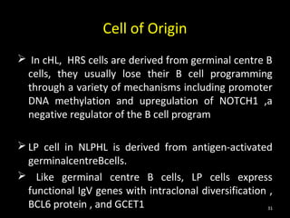 Cell of Origin
 In cHL, HRS cells are derived from germinal centre B
 cells, they usually lose their B cell programming
 through a variety of mechanisms including promoter
 DNA methylation and upregulation of NOTCH1 ,a
 negative regulator of the B cell program

 LP cell in NLPHL is derived from antigen-activated
  germinalcentreBcells.
 Like germinal centre B cells, LP cells express
  functional IgV genes with intraclonal diversification ,
  BCL6 protein , and GCET1                             31
 