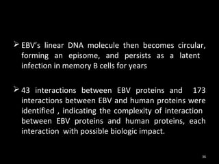  EBV’s linear DNA molecule then becomes circular,
  forming an episome, and persists as a latent
  infection in memory B cells for years

 43 interactions between EBV proteins and 173
  interactions between EBV and human proteins were
  identified , indicating the complexity of interaction
  between EBV proteins and human proteins, each
  interaction with possible biologic impact.

                                                     36
 