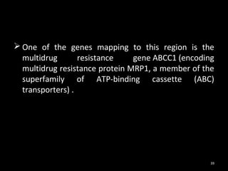  One of the genes mapping to this region is the
  multidrug       resistance    gene ABCC1 (encoding
  multidrug resistance protein MRP1, a member of the
  superfamily of ATP-binding cassette (ABC)
  transporters) .




                                                   39
 