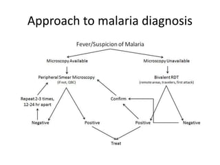 Approach to malaria diagnosis
 