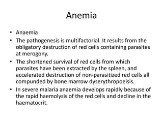 Anemia
• Anaemia
• The pathogenesis is multifactorial. It results from the
obligatory destruction of red cells containing parasites
at merogony.
• The shortened survival of red cells from which
parasites have been extracted by the spleen, and
accelerated destruction of non-parasitized red cells all
compunded by bone marrow dyserythropoeisis.
• In severe malaria anaemia develops rapidly because of
the rapid haemolysis of the red cells and decline in the
haematocrit.
 