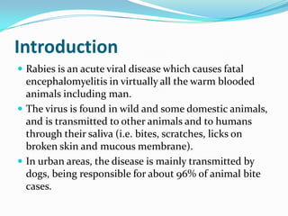 Is Rabies Acute National Guidelines for Rabies Prophylaxis in India | PPTX