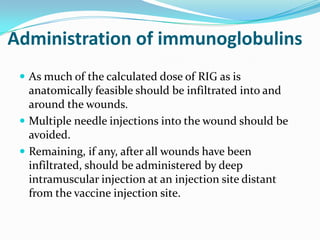 Rgi Injection National Guidelines for Rabies Prophylaxis in India | PPTX