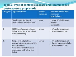 dog bite treatment protocol