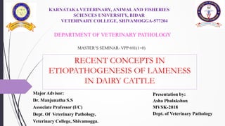 MASTER’S SEMINAR- VPP 691(1+0)
RECENT CONCEPTS IN
ETIOPATHOGENESIS OF LAMENESS
IN DAIRY CATTLE
KARNATAKA VETERINARY, ANIMALAND FISHERIES
SCIENCES UNIVERSITY, BIDAR
VETERINARY COLLEGE, SHIVAMOGGA-577204
Presentation by:
Asha Phalakshan
MVSK-2018
Dept. of Veterinary Pathology
DEPARTMENT OF VETERINARY PATHOLOGY
Major Advisor:
Dr. Manjunatha S.S
Associate Professor (I/C)
Dept. Of Veterinary Pathology,
Veterinary College, Shivamogga.
 