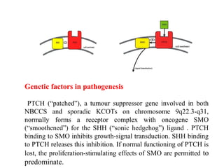 Genetic factors in pathogenesis
PTCH (“patched”), a tumour suppressor gene involved in both
NBCCS and sporadic KCOTs on chromosome 9q22.3-q31,
normally forms a receptor complex with oncogene SMO
(“smoothened”) for the SHH (“sonic hedgehog”) ligand . PTCH
binding to SMO inhibits growth-signal transduction. SHH binding
to PTCH releases this inhibition. If normal functioning of PTCH is
lost, the proliferation-stimulating effects of SMO are permitted to
predominate.
 