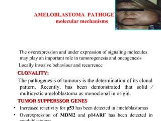 AMELOBLASTOMA PATHOGENESIS
molecular mechanisms
The overexpression and under expression of signaling molecules
may play an important role in tumorogenesis and oncogenesis
Locally invasive behaviour and recurrence
CLONALITY:CLONALITY:
The pathogenesis of tumours is the determination of its clonal
pattern. Recently, has been demonstrated that solid ⁄
multicystic ameloblastoma as monoclonal in origin.
TUMOR SUPPERSSOR GENESTUMOR SUPPERSSOR GENES
• Increased reactivity for p53 has been detected in ameloblastomas
• Overexpression of MDM2 and p14ARF has been detected in
 