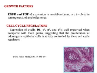 GROWTH FACTORSGROWTH FACTORS
EGFR and TGF -β expression in ameloblastomas, are involved in
tumorgenesis of ameloblastomas
CELL CYCLE REGULATORSCELL CYCLE REGULATORS
Expression of cyclin D1, p16
, p21
, and p27
is well preserved when
compared with tooth germs, suggesting that the proliferation of
odontogenic epithelial cells is strictly controlled by these cell cycle
regulators
J Oral Pathol Med (2010) 39: 585–591
 