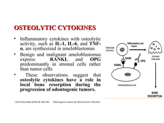 OSTEOLYTIC CYTOKINESOSTEOLYTIC CYTOKINES
• Inflammatory cytokines with osteolytic
activity, such as IL-1, IL-6, and TNF-
α, are synthesized in ameloblastomas
• Benign and malignant ameloblastomas
express RANKL and OPG
predominantly in stromal cells rather
than tumor cells
• These observations suggest that
osteolytic cytokines have a role in
local bone resorption during the
progression of odontogenic tumors.
J Oral Pathol Med (2010) 39: 585–591 Odontogenic tumors & allied lesions- Reichart
 