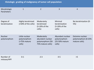 Histologic grading of malignancy of tumor cell population
Morphologic
Parameters
1 2 3 4
Degree of
keratinization
Highly keratinized
(>50% of the cells)
Moderately
keratinized
(5-20% of the
cells)
Minimal
keratinization
(5-20% of the
cells)
No keratinization (0-
5%)
Nuclear
polymorphism
Little nuclear
polymorphism
(>75% mature
cells)
Moderately
abundant nuclear
polymorphism (50-
75% mature cells)
Abundant nuclear
polymorphism
(25-50% mature
cells)
Extreme nuclear
polymorphism (0-25%
mature cells)
Number of
mitoses/HPF
0-1 2-3 4-5 >5
 