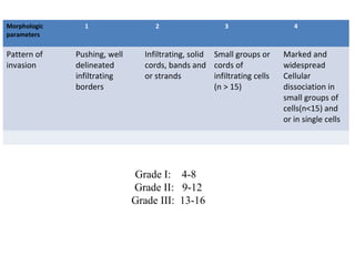 Morphologic
parameters
1 2 3 4
Pattern of
invasion
Pushing, well
delineated
infiltrating
borders
Infiltrating, solid
cords, bands and
or strands
Small groups or
cords of
infiltrating cells
(n > 15)
Marked and
widespread
Cellular
dissociation in
small groups of
cells(n<15) and
or in single cells
Grade I: 4-8
Grade II: 9-12
Grade III: 13-16
 