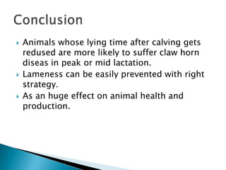    Animals whose lying time after calving gets
    redused are more likely to suffer claw horn
    diseas in peak or mid lactation.
   Lameness can be easily prevented with right
    strategy.
   As an huge effect on animal health and
    production.
 