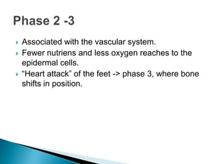    Associated with the vascular system.
   Fewer nutriens and less oxygen reaches to the
    epidermal cells.
   “Heart attack” of the feet -> phase 3, where bone
    shifts in position.
 