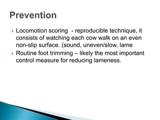    Locomotion scoring - reproducible technique, it
    consists of watching each cow walk on an even
    non-slip surface. (sound, uneven/slow, lame
   Routine foot trimming – likely the most important
    control measure for reducing lameness.
 