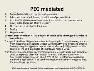 PEG mediated
1. Protoplast isolation in the form of suspension
2. Taken in a test tube followed by addition of plasmid DNA
3. To this 40% PEG dissolved in mannitol and calcium nitrate solution is
slowly added because of high viscosity
4. This mixture is incubated for 5 min.
5. Testing
6. Regeneration
Efficient transformation of Arabidopsis thaliana using direct gene transfer to
protoplasts.
Transgenic Arabidopsis plants resistant to hygromycin B have been regenerated
from mesophyll protoplasts treated with polyethylene glycol and plasmid
DNA carrying the hygromycin phosphotransferase (HPT) gene under the
control of the 35 S promoter of cauliflower mosaic virus.
Transformation experiments performed with a selectable and a non-selectable
gene on separate plasmids resulted in a co-transformation rate of
functionally active copies in about 25% of the transformants analysed.
Hence this approach can be used to introduce non-selectable genes into
the Arabidopsis genome.
Efficient transformation of Arabidopsis thaliana using direct gene transfer to protoplasts.1989 May;217(1):6-12.
 