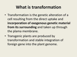What is transformation
• Transformation is the genetic alteration of a
cell resulting from the direct uptake and
incorporation of exogenous genetic material
from its surrounding and taken up through
the plama membrane.
• Transgenic plants are produced by
transformation and stable integration of
foreign gene into the plant genome.
 