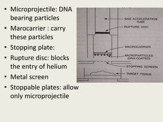 • Microprojectile: DNA
bearing particles
• Marocarrier : carry
these particles
• Stopping plate:
• Rupture disc: blocks
the entry of helium
• Metal screen
• Stoppable plates: allow
only microprojectile
 