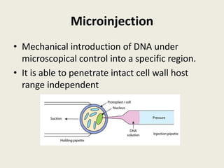 Microinjection
• Mechanical introduction of DNA under
microscopical control into a specific region.
• It is able to penetrate intact cell wall host
range independent
 