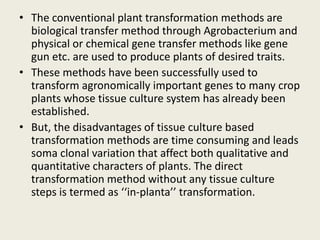 • The conventional plant transformation methods are
biological transfer method through Agrobacterium and
physical or chemical gene transfer methods like gene
gun etc. are used to produce plants of desired traits.
• These methods have been successfully used to
transform agronomically important genes to many crop
plants whose tissue culture system has already been
established.
• But, the disadvantages of tissue culture based
transformation methods are time consuming and leads
soma clonal variation that affect both qualitative and
quantitative characters of plants. The direct
transformation method without any tissue culture
steps is termed as ‘‘in-planta’’ transformation.
 